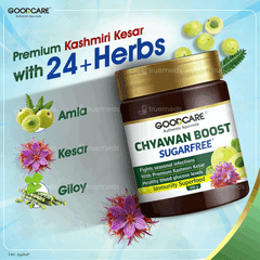 Goodcare Chyawan Boost Sugarfree 500Gm